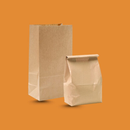 Brown Paper Bag 3