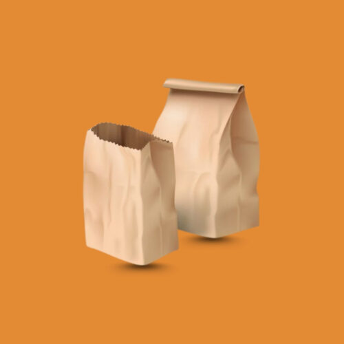 Brown Paper Bag 4