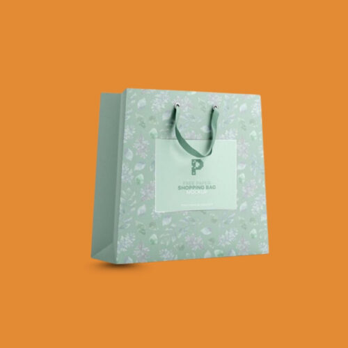 Printed Paper Bag 3