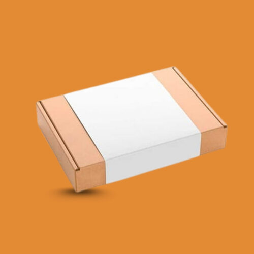 White Kraft Box 2
