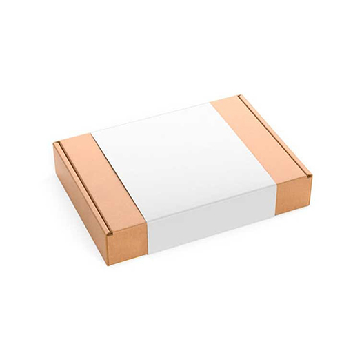 White Kraft Boxes